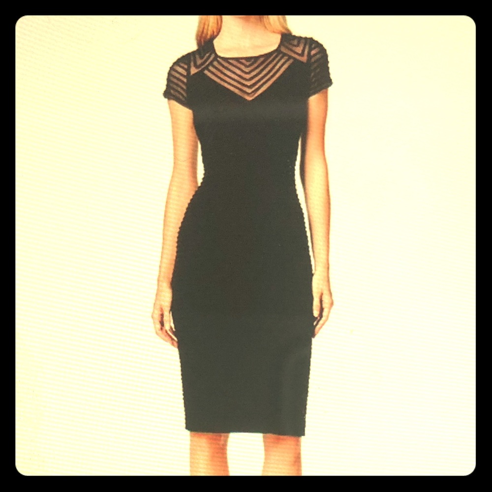 Sexy! Calvin Klein Sheath Dress SZ 16W NWT